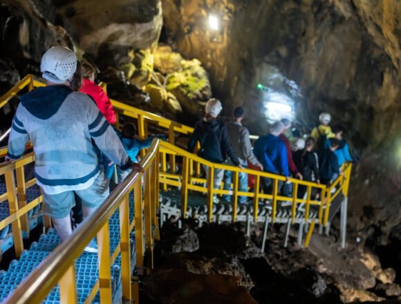 Coal Mining Health Study Halted by Interior Department: Exploring the Implications