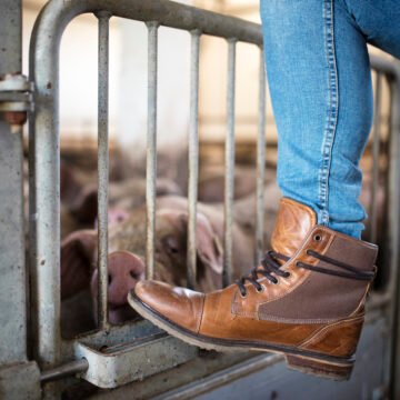 Most Comfortable Shoe Brands in the USA for 2026